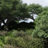Vue Eco System