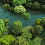 Vue River
