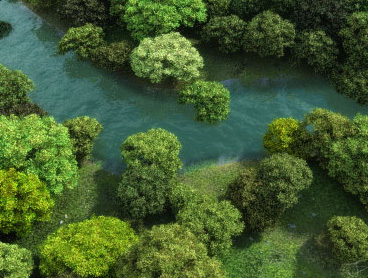 Vue - More Eco Systems Vue River