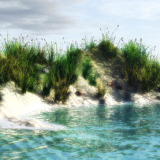Vue Foam Shore