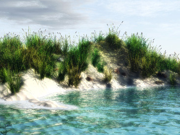 Vue Foam Shoreline Vue Foam Shore
