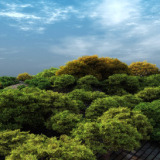 Vue Test 1