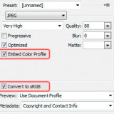 Save for Web in Photoshop CS4 Save for Web Settings