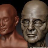 Comparisation of two head sculptures
