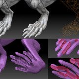 Illustrates holes in the adaptive skin
